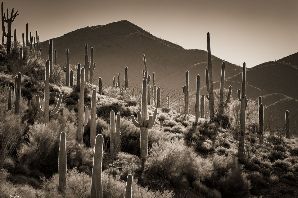 Spur Cross Ranch