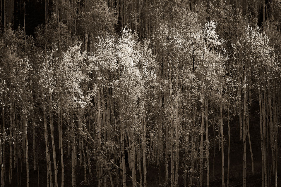 Crested Butte