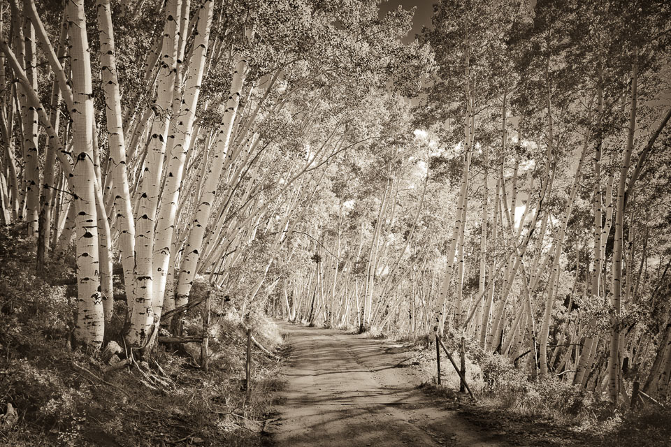 Last Dollar Road, near Telluride