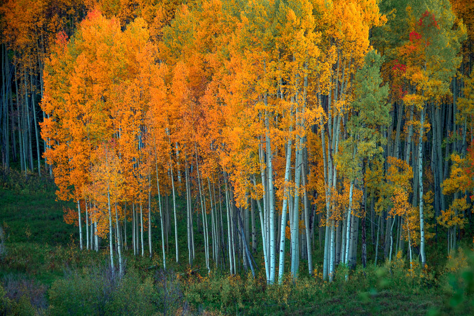 After sundown. Crested Butte, Colorado.