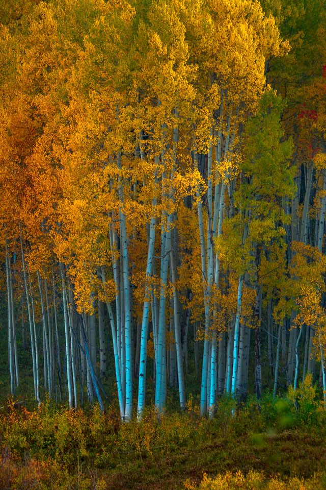 After sundown. Crested Butte, Colorado.