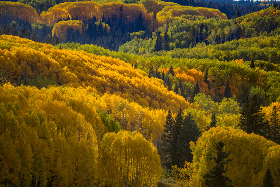 Crested Butte