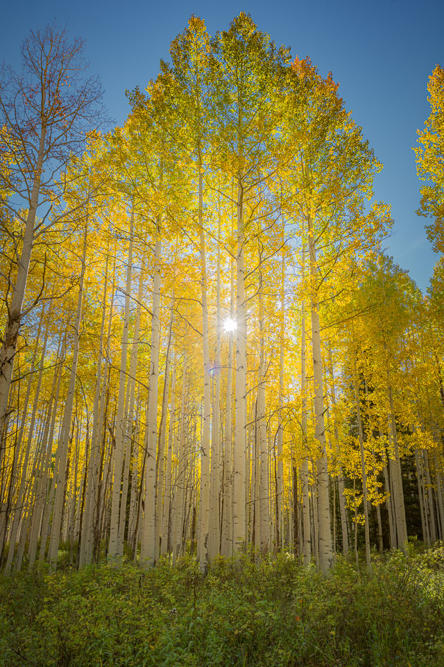 Crested Butte