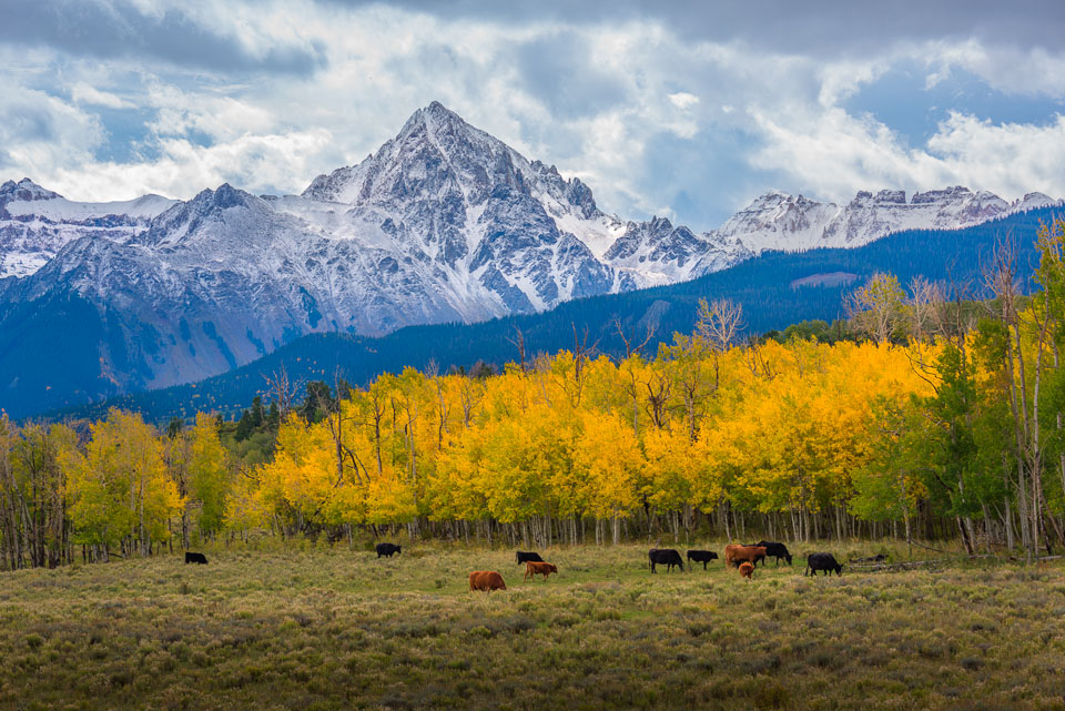 Dallas Divide, near Ridgway