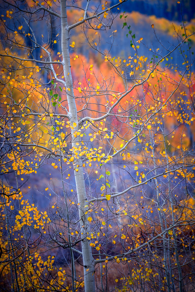 Crested Butte