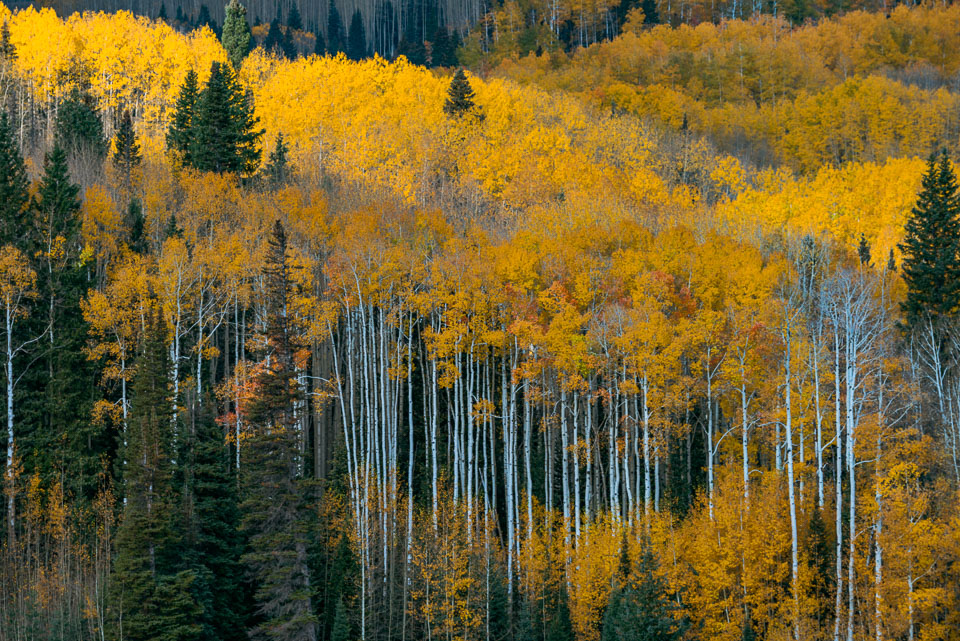 Crested Butte