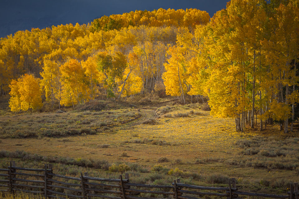 Dallas Divide, near Ridgway