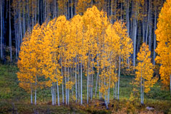 Golden family. Crested Butte, Colorado.