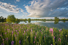 Pastoral Scenes