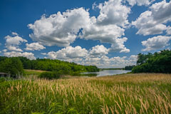 Billowy clouds over reservoir 1