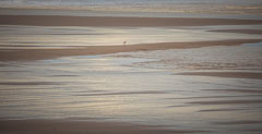 Oregon & Washington Coast