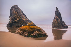 Oregon & Washington Coast