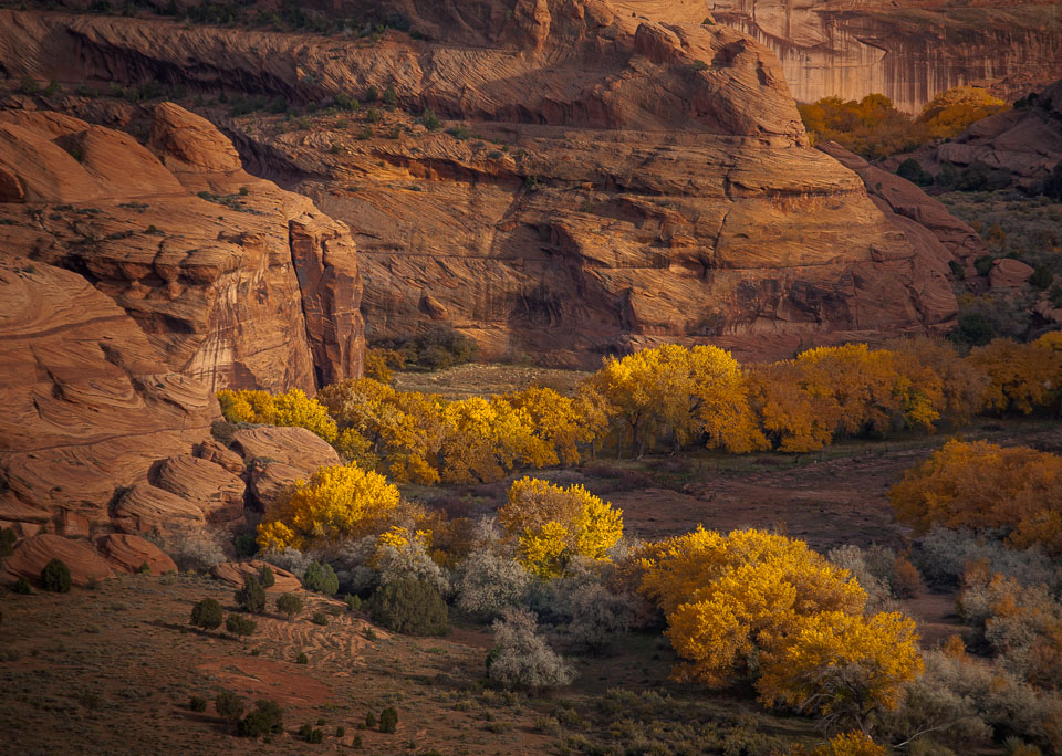 Canyon colors