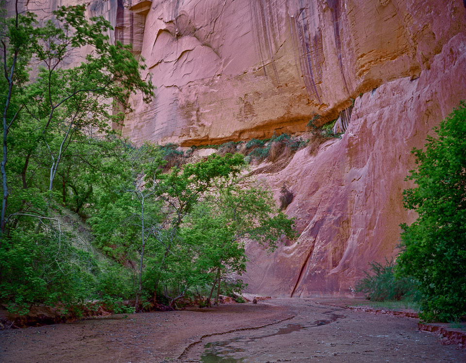 Buckskin Gulch