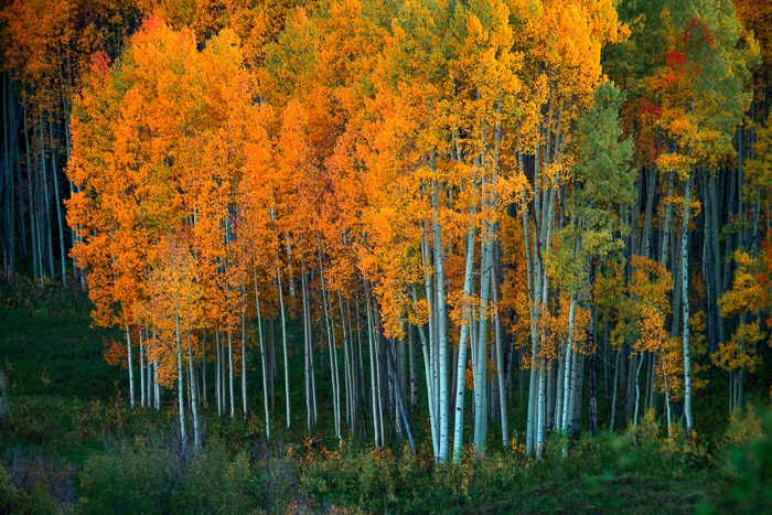 After sundown. Crested Butte, Colorado.