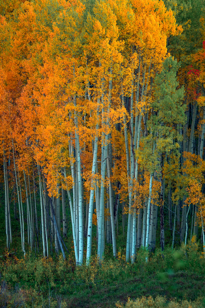 After sundown. Crested Butte, Colorado.