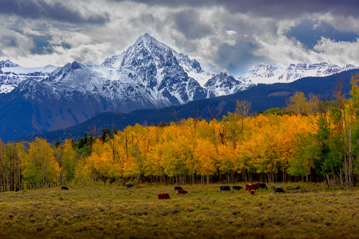 Dallas Divide, near Ridgway