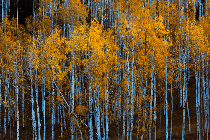 Twilight. Crested Butte, Colorado.