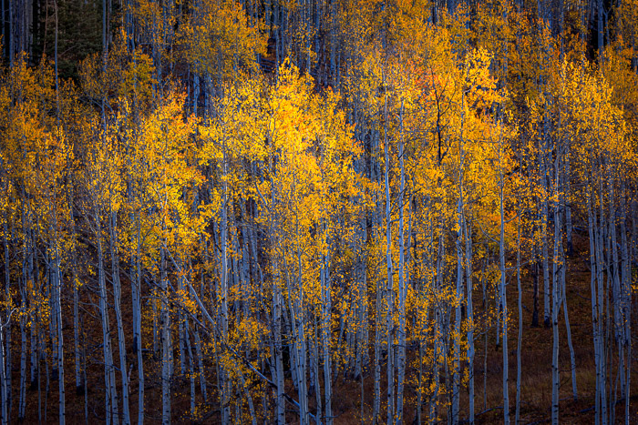 Twilight. Crested Butte, Colorado.