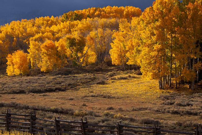 Dallas Divide, near Ridgway