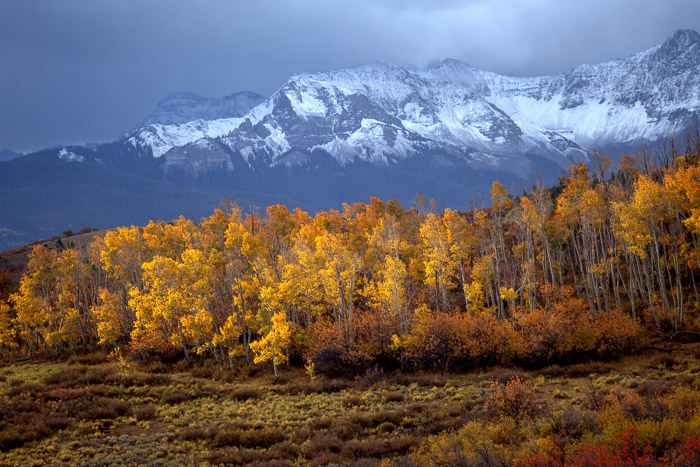 The transition of seasons brings contrasting colors in the Colorado Rocky Mountains