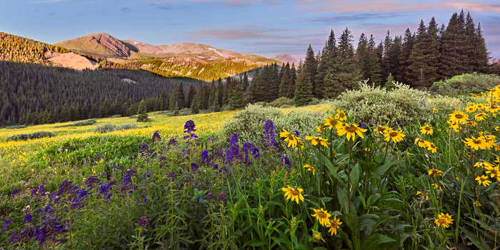 Colorado