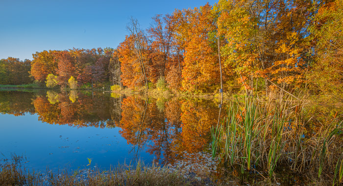 Heartland Autumn Scenes