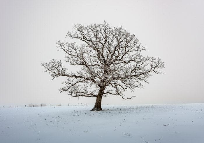 Heartland Winter Scenes