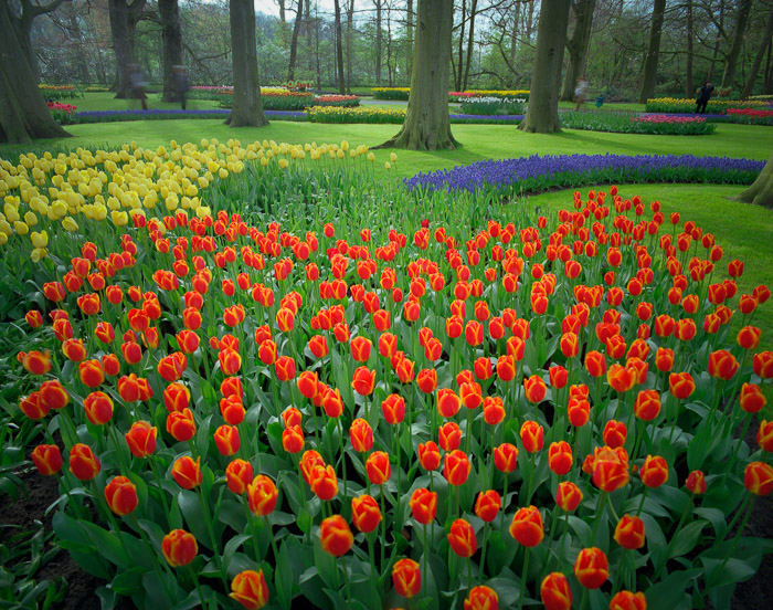 Holland