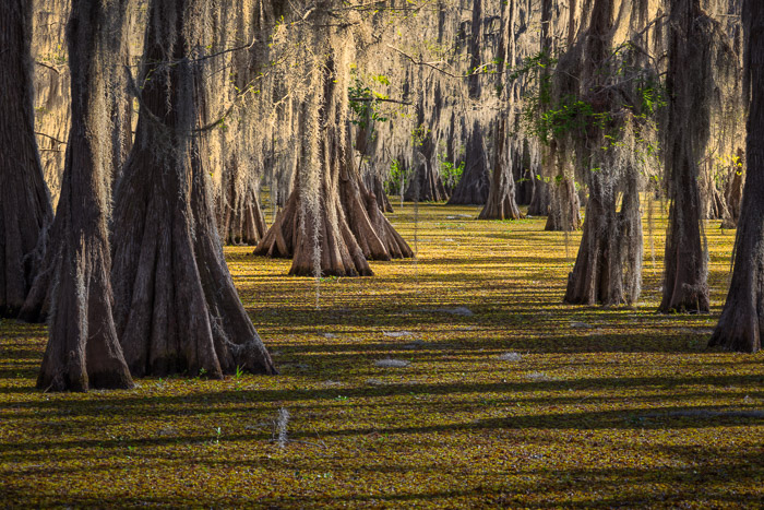 Miscellaneous Locations