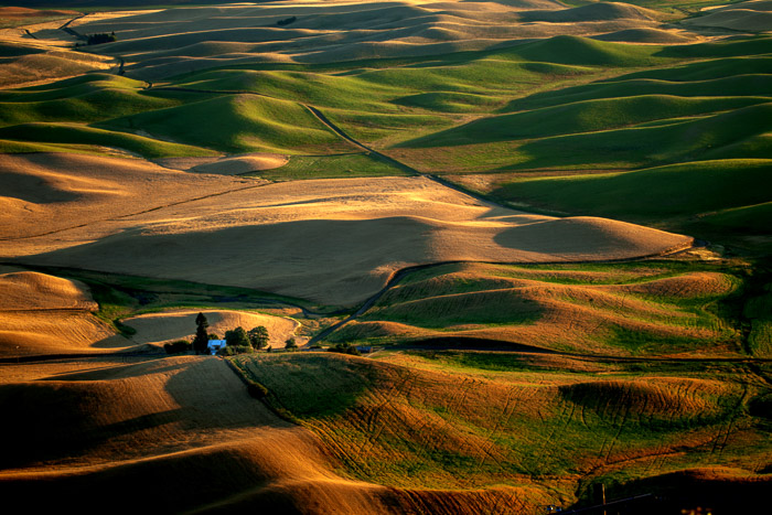 The Palouse