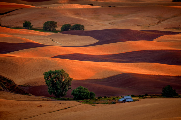 The Palouse at sunset. Wheat fields in Eastern Washington.