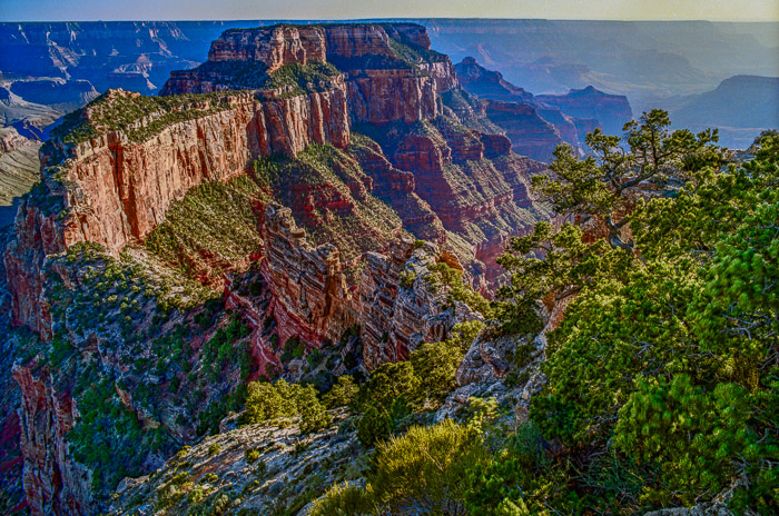 Grand Canyon North Rim