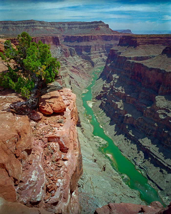 Grand Canyon North Rim, View from Toroweap Overlook
