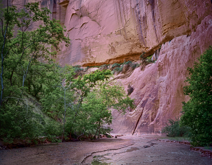 Buckskin Gulch