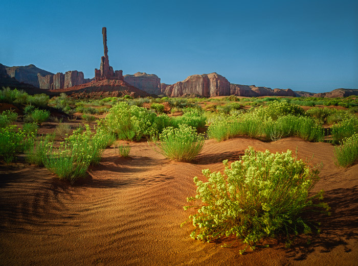 Sand Dunes at Monument Valley