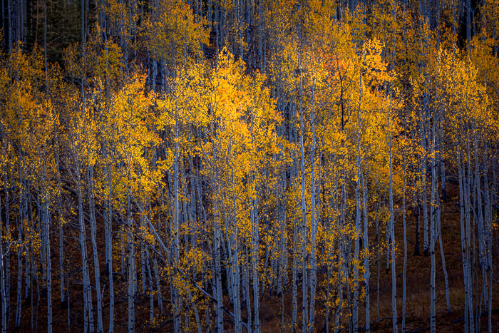 Twilight. Crested Butte, Colorado.