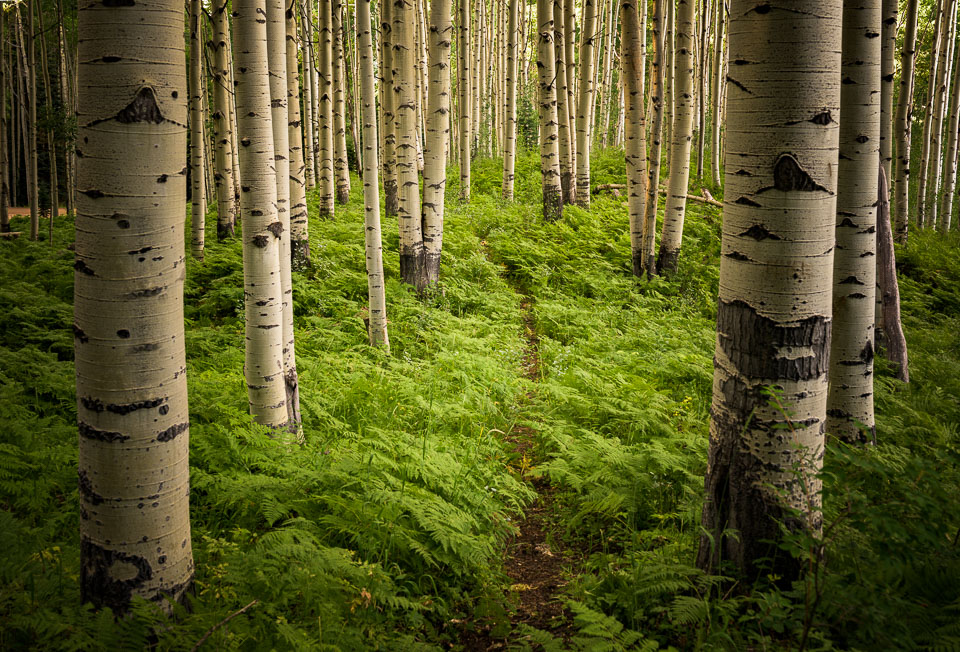 Crested Butte