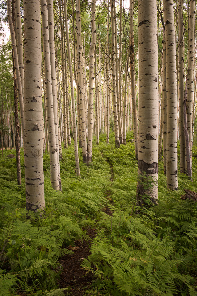 Crested Butte