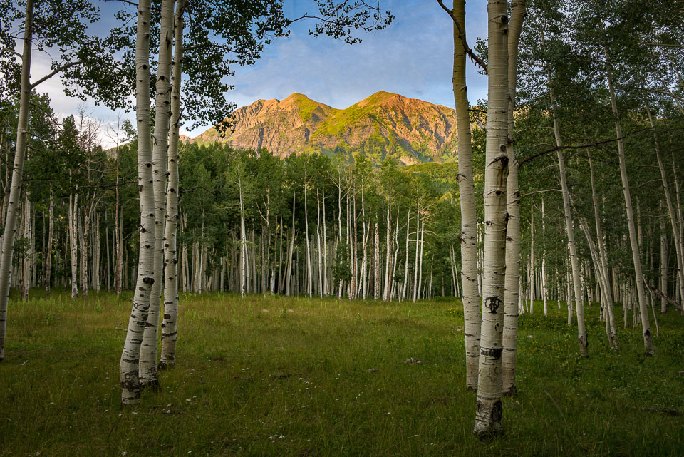 Crested Butte