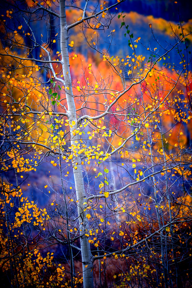 Crested Butte