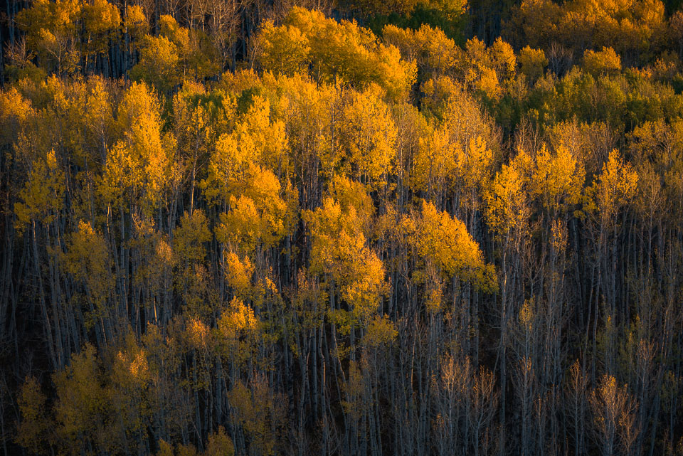 Crested Butte