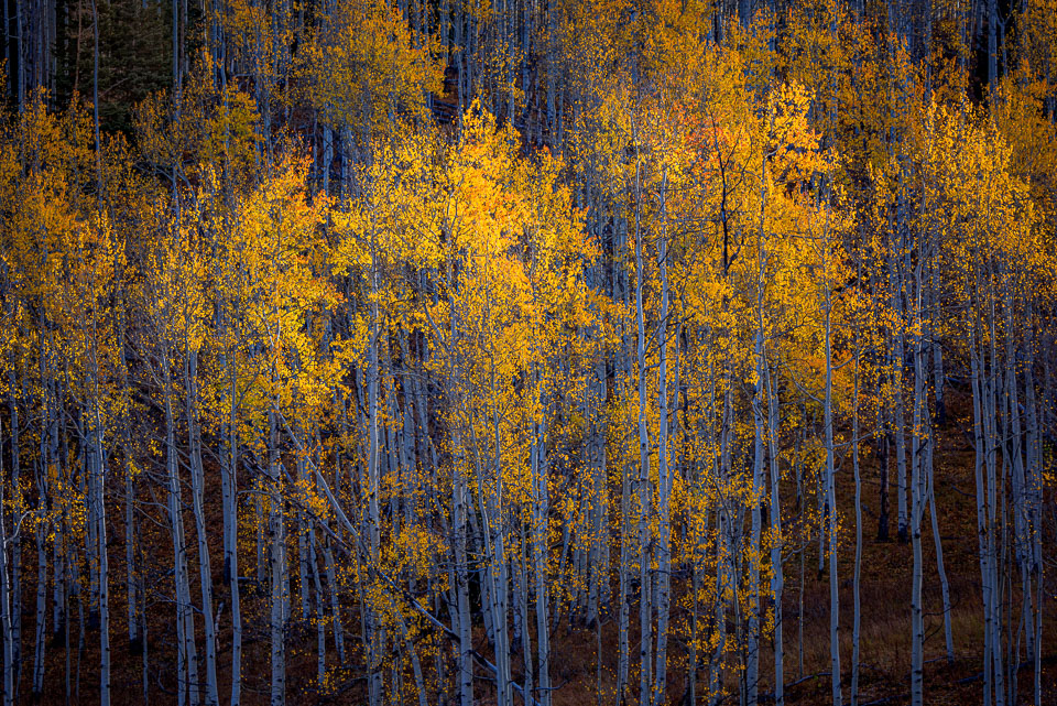 Twilight. Crested Butte, Colorado.