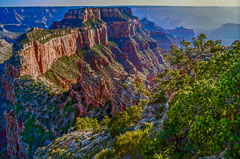 Grand Canyon North Rim, View from Cape Royal