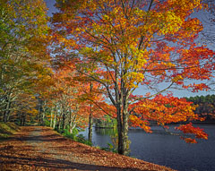 Bass Lake in Autumn