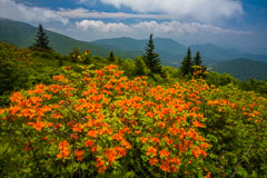 Blue Ridge Mountains