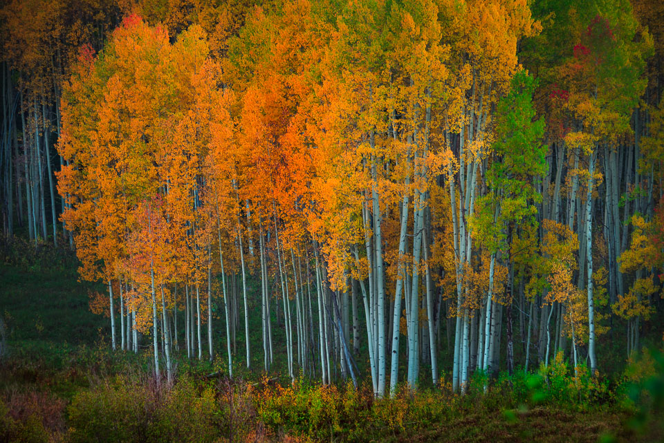 After sundown. Crested Butte, Colorado.