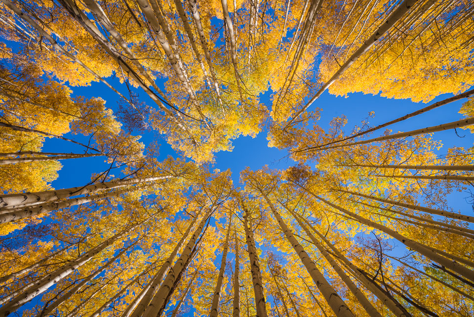 Crested Butte