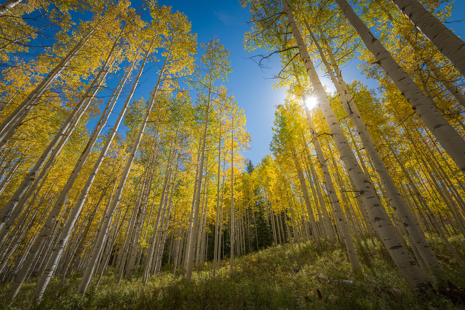 Crested Butte