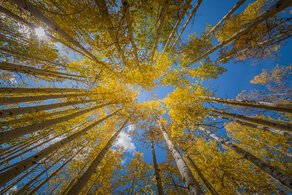 Crested Butte